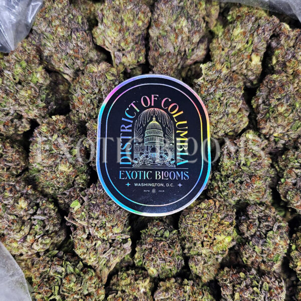 Mimosa sativa hybrid cannabis strain – available for weed delivery in DC, Virginia, and Richmond via Exotic Blooms