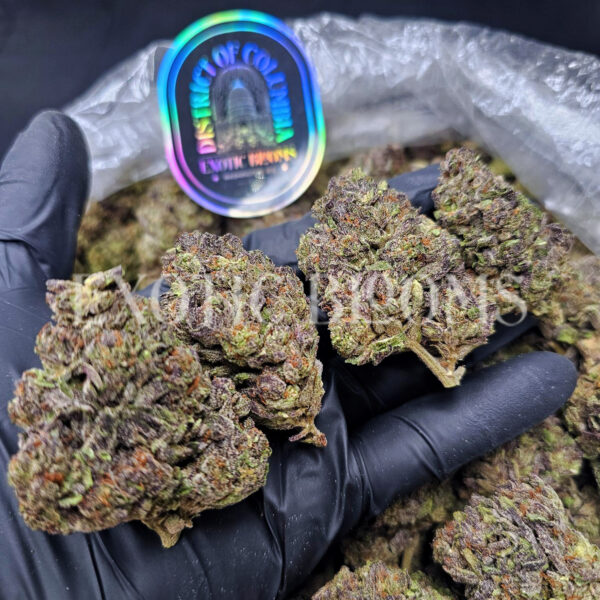 Mimosa sativa hybrid cannabis strain – available for weed delivery in DC, Virginia, and Richmond via Exotic Blooms