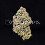 Mimosa sativa hybrid cannabis strain – available for weed delivery in DC, Virginia, and Richmond via Exotic Blooms
