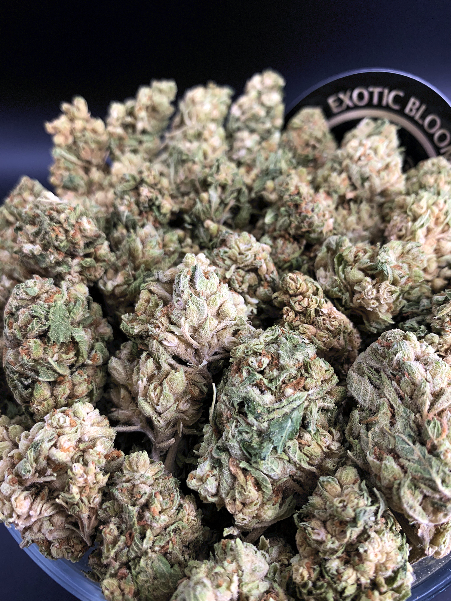 Strawnana - Oz Deal - Exotic Blooms - Experience Washington D.C's