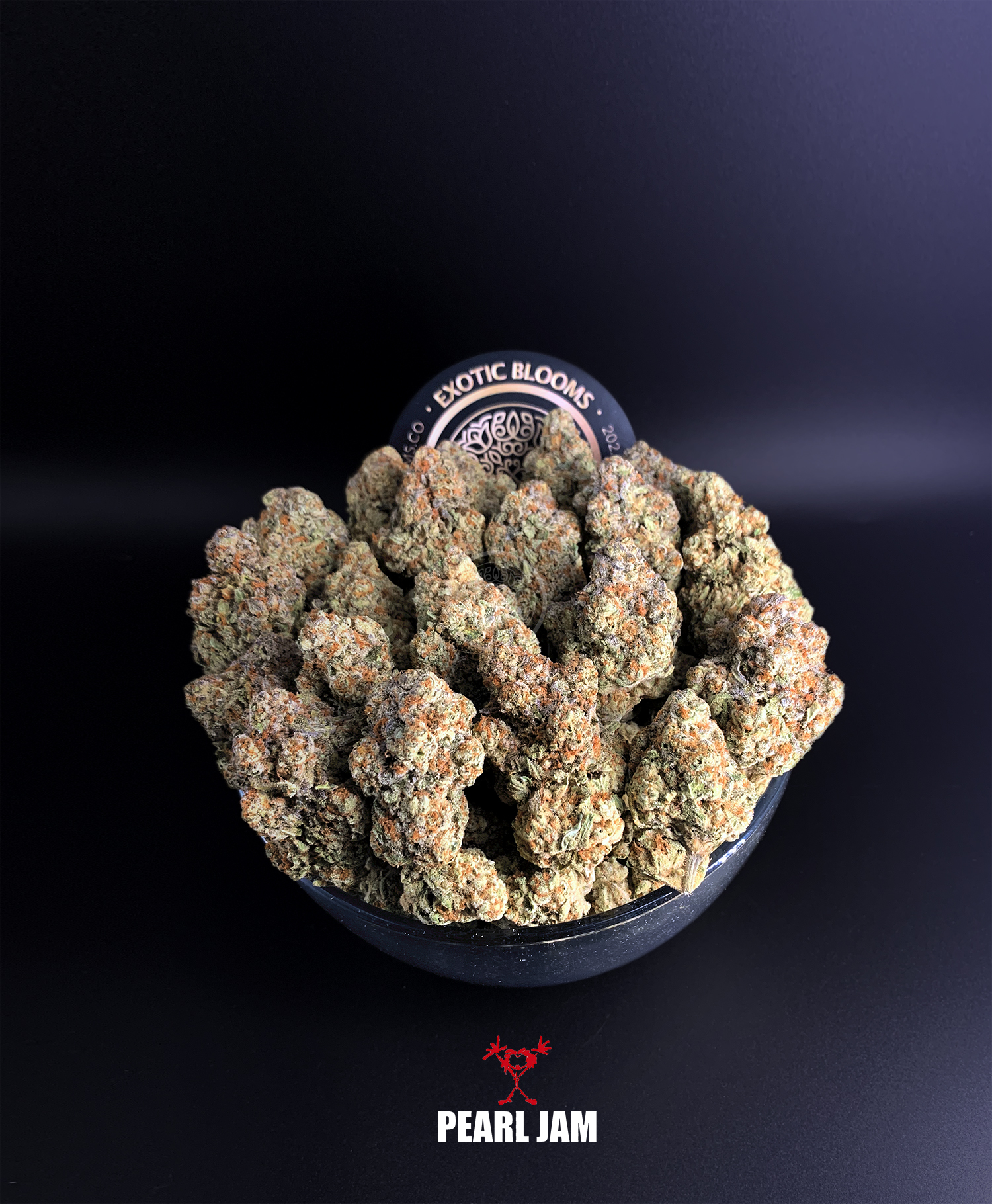 Toker's Guide Gets Up Close & Personal Pearl Jam Cannabis Strain Exotic Blooms Delivery DC