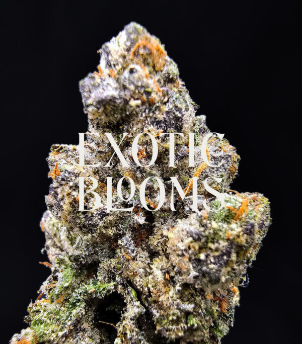 Blackberry Kush cannabis strain indica hybrid 28-32% THC available for weed delivery in Washington DC, Virginia, Maryland, and Richmond VA