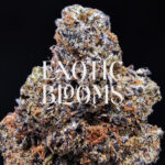 Blackberry Kush cannabis strain indica hybrid 28-32% THC available for weed delivery in Washington DC, Virginia, Maryland, and Richmond VA