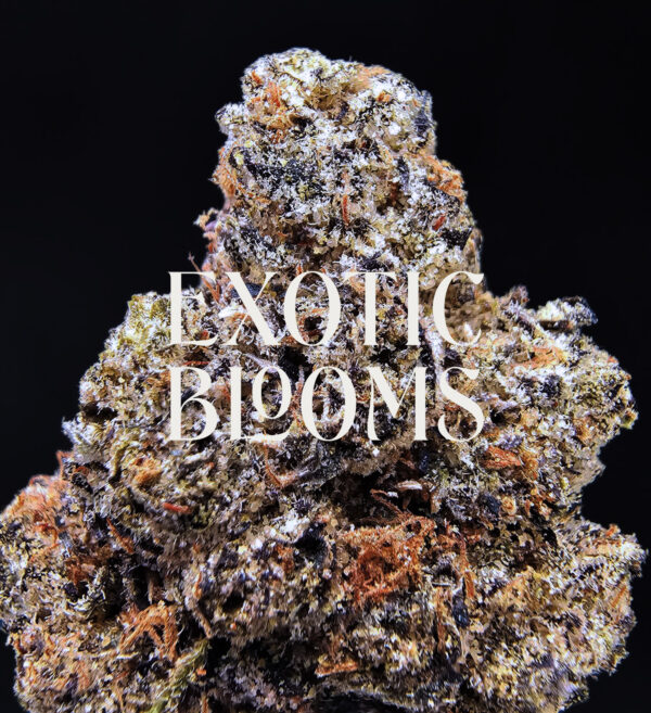 Blackberry Kush cannabis strain indica hybrid 28-32% THC available for weed delivery in Washington DC, Virginia, Maryland, and Richmond VA