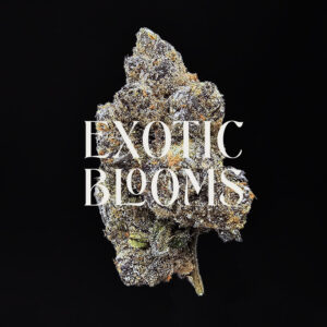 Blackberry Kush cannabis strain indica hybrid 28-32% THC available for weed delivery in Washington DC, Virginia, Maryland, and Richmond VA