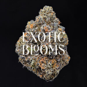 Blackberry Kush cannabis strain indica hybrid 28-32% THC available for weed delivery in Washington DC, Virginia, Maryland, and Richmond VA