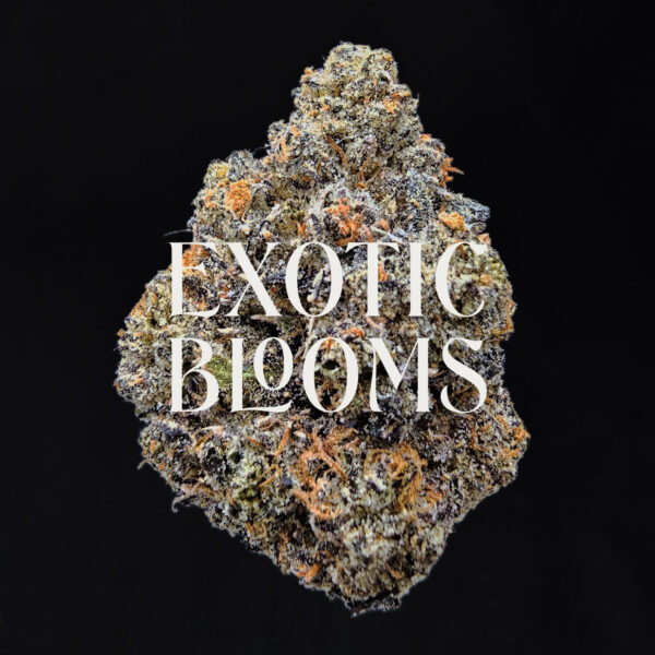 Blackberry Kush cannabis strain indica hybrid 28-32% THC available for weed delivery in Washington DC, Virginia, Maryland, and Richmond VA