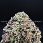 Venom OG Strain Exotic Blooms virginia weed delivery