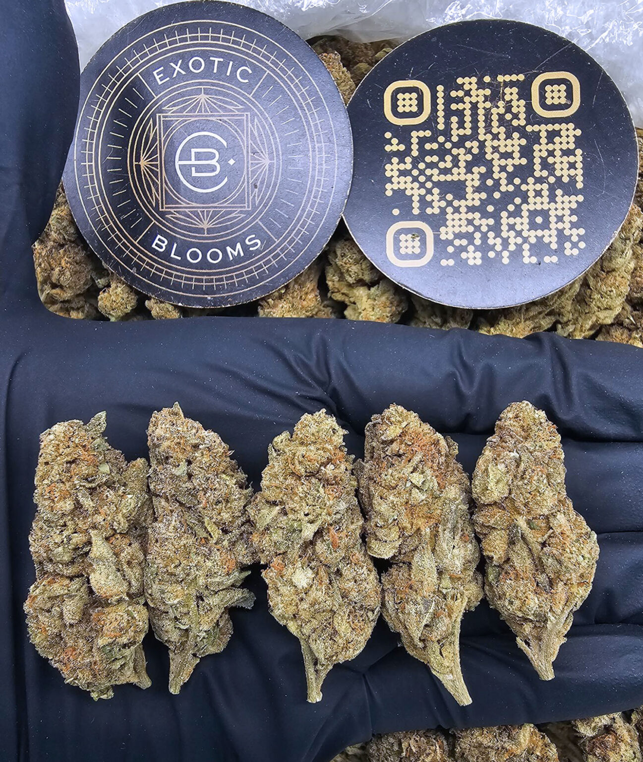 Ice Cream Cookies Oz Deal *OUT OF STOCK* Exotic Blooms Delivery DC