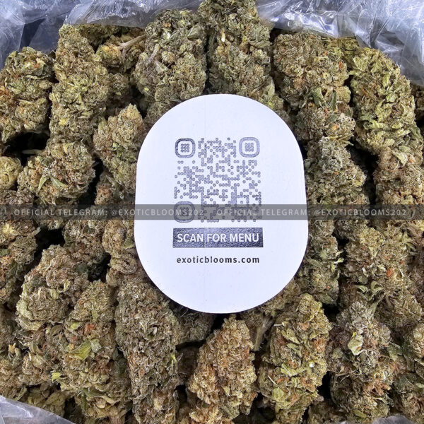 Pink Runtz Strain exotic blooms washington dc weed