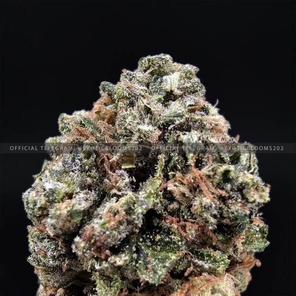 Pink Runtz Strain exotic blooms virginia weed