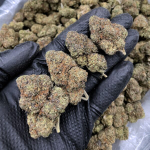 Mochi hybrid strain 27–29% THC available for weed delivery in Washington DC Virginia Maryland Richmond VA