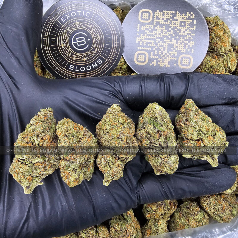 Flower Delivery DC Archives Exotic Blooms Experience Washington D.C