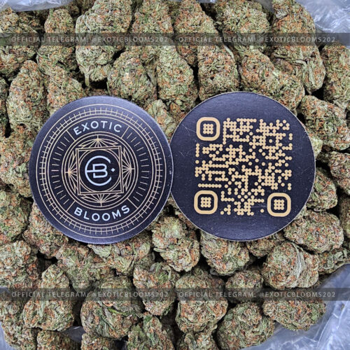 Flower Delivery DC Archives Exotic Blooms Experience Washington D.C