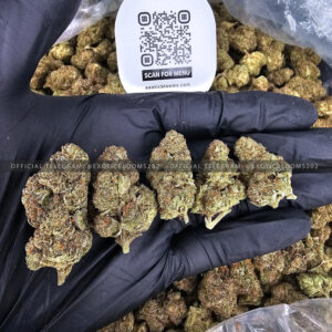 Blue Cookies Strain Exotic Blooms dmv weed delivery