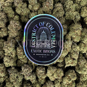 Gorilla Cookies Washington DC Virginia