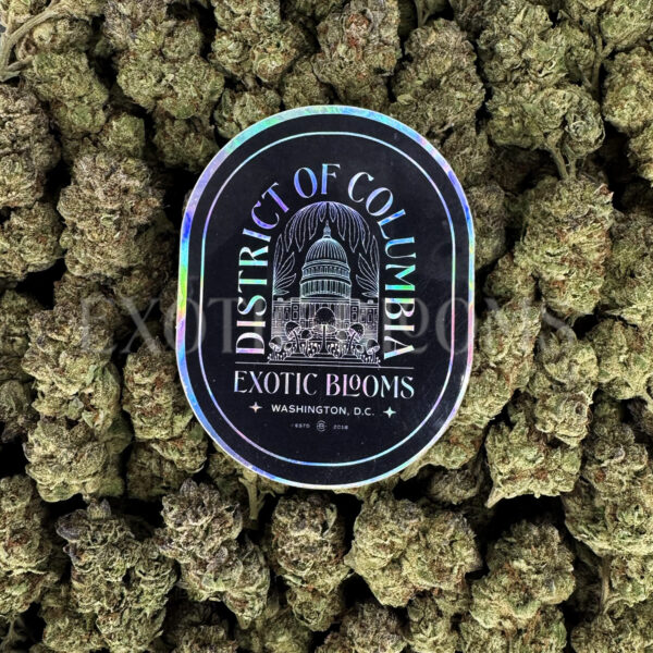 Gorilla Cookies Washington DC Virginia