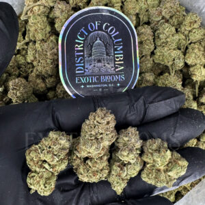 Gorilla Cookies Washington DC Virginia