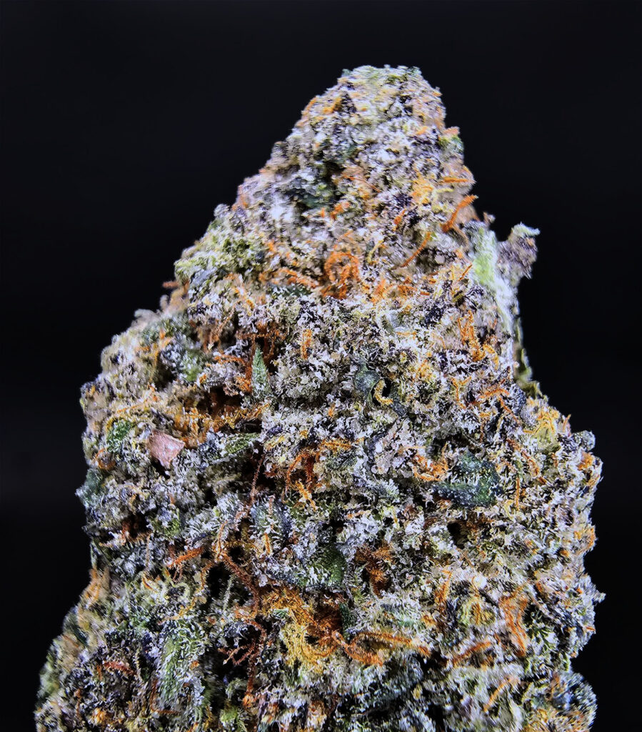 Gelato #45 Private Reserve *OUT OF STOCK* - Exotic Blooms Delivery - DC ...