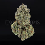 Gorilla Cookies Washington DC Virginia