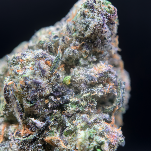 Permanent Marker Super Rare *Back Order* Exotic Blooms Delivery DC