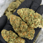 Premium exotic cannabis flower available for delivery in Washington DC, Northern Virginia, Richmond and Maryland from Exotic Blooms.