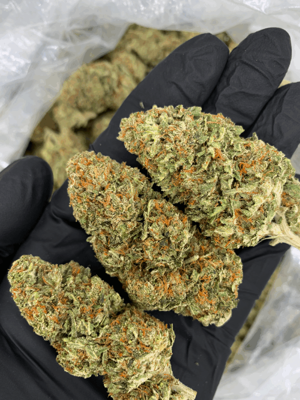 Premium exotic cannabis flower available for delivery in Washington DC, Northern Virginia, Richmond and Maryland from Exotic Blooms.