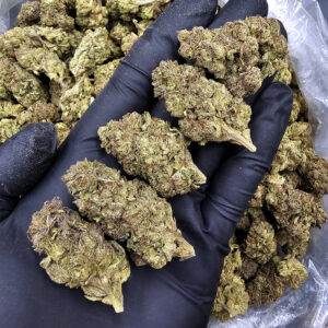 Gelonade hybrid cannabis strain, 22–26% THC, with frosty green buds for Exotic Blooms customers in Washington DC, Virginia, Maryland, and Richmond VA.