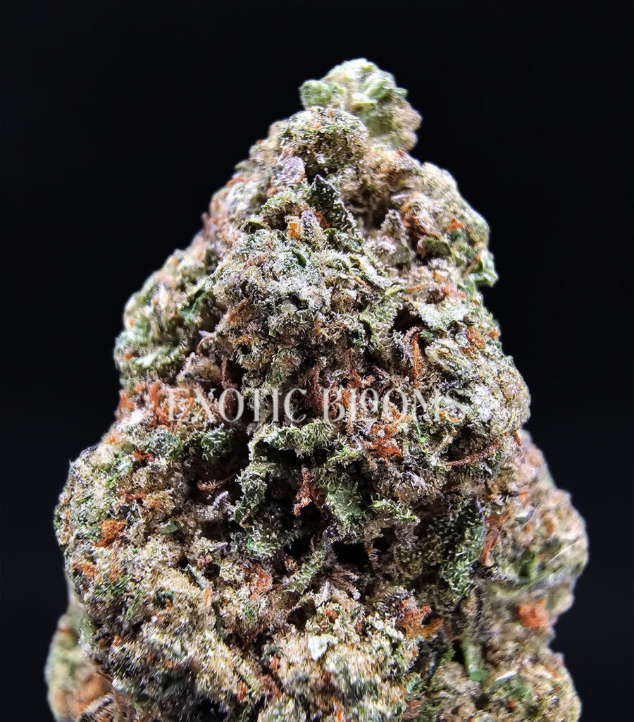 Sherbet Cake Oz Deal *OUT OF STOCK* - Exotic Blooms Delivery - DC Weed ...