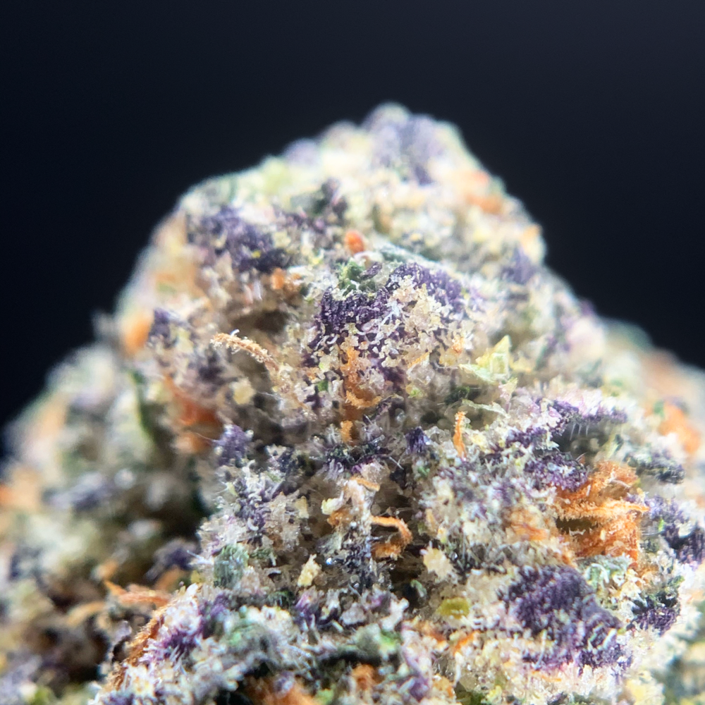 Zkillato (Zkittlez x Gelato 41) Exclusive Designer *OUT OF STOCK