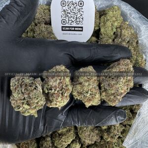 Jealousy Strain Exotic Blooms virginia weed delivery