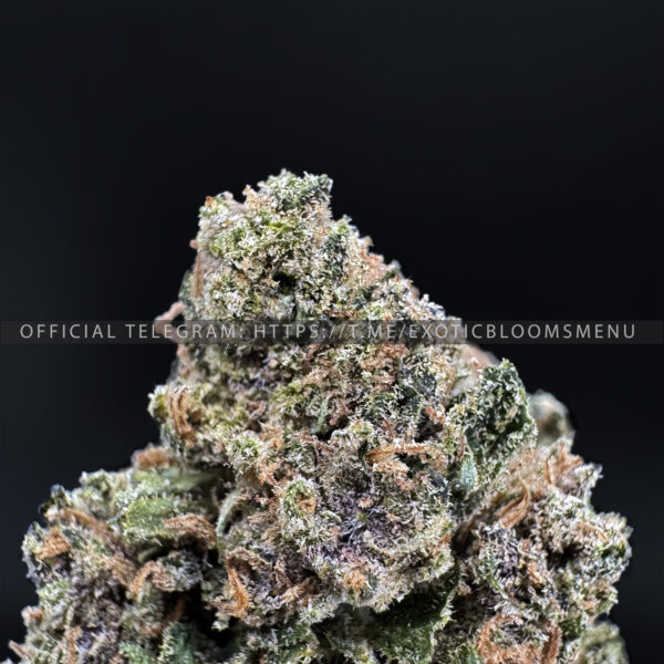 Jealousy Strain Exotic Blooms virginia weed delivery