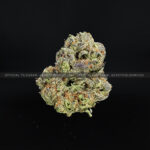 Jealousy Strain Exotic Blooms maryland weed delivery