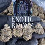 Black Runtz cannabis strain, indica hybrid, 27-30% THC, available in Washington DC, Virginia, Maryland, and Richmond VA