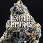 Black Runtz cannabis strain, indica hybrid, 27-30% THC, available in Washington DC, Virginia, Maryland, and Richmond VA