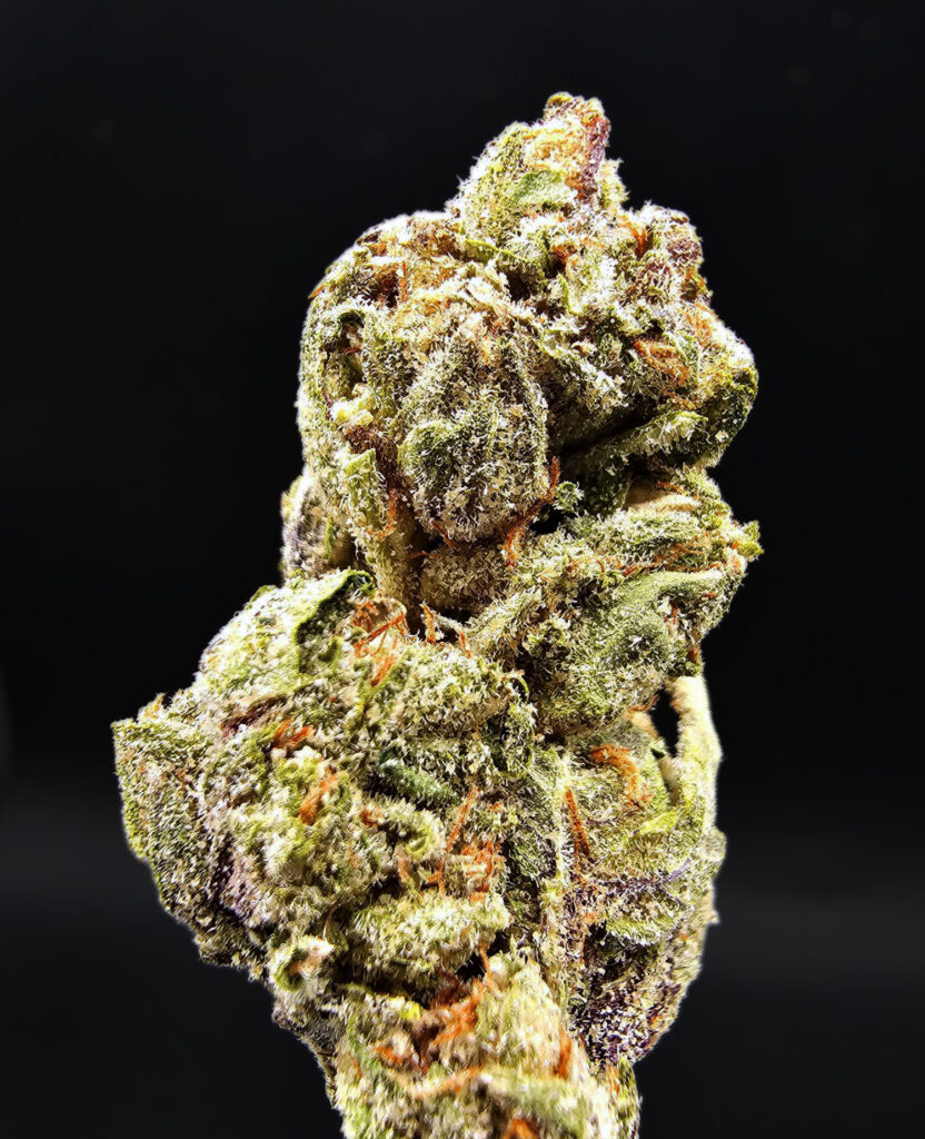 Sugar Cookies Oz Deal *OUT OF STOCK* Exotic Blooms Delivery DC Weed