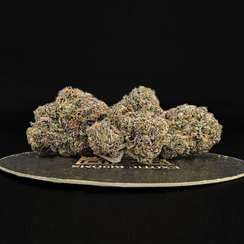 Flower Delivery DC Archives Exotic Blooms Experience Washington D.C