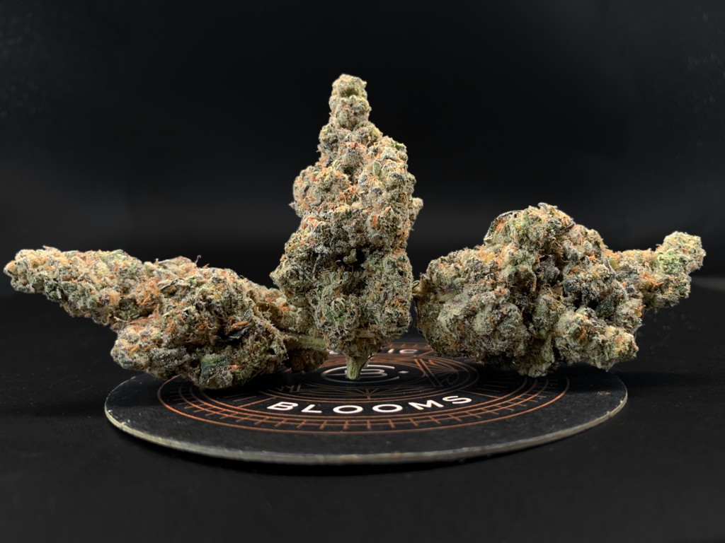 Kush Mints by Seed Junky Hybrid Super Rare *OUT OF STOCK* Exotic