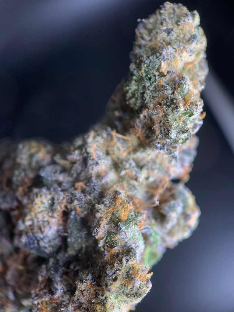 Kush Mints by Seed Junky Hybrid Super Rare *OUT OF STOCK* Exotic