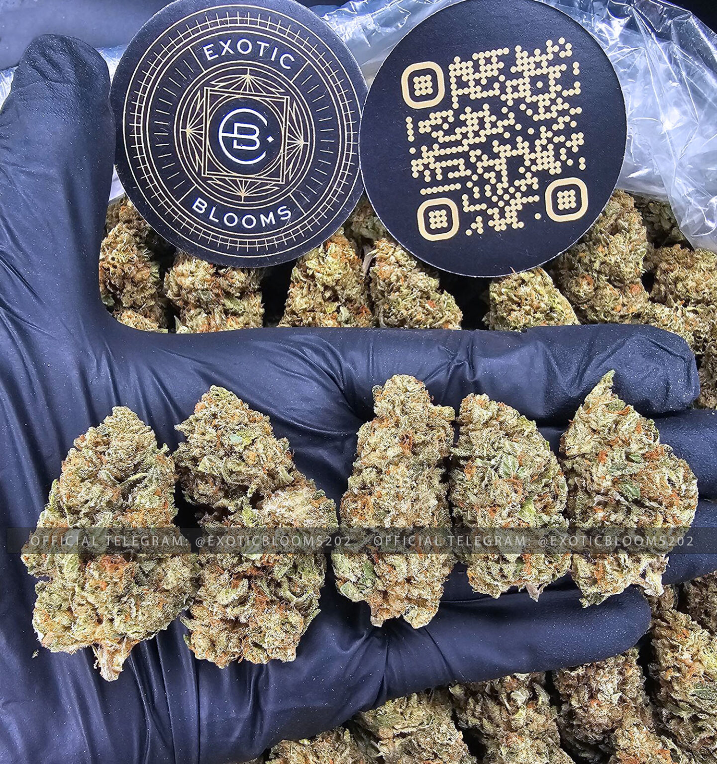 London Trufflez Oz Deal *OUT OF STOCK* Exotic Blooms Delivery DC Weed Delivery & VA Cannabis