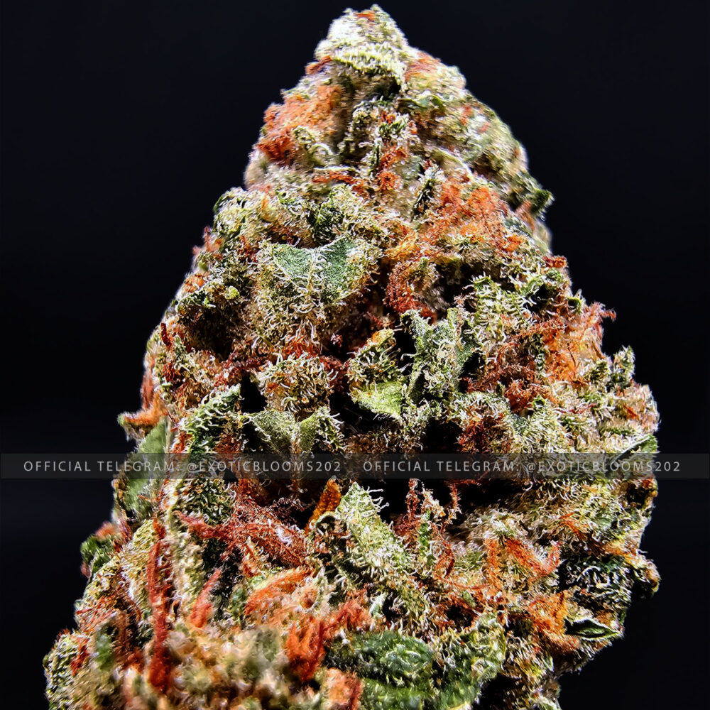 London Trufflez Oz Deal *OUT OF STOCK* Exotic Blooms Delivery DC