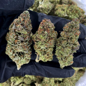 Pink Panther strain hybrid 22–24% THC – Exotic Blooms weed delivery in Washington DC, Virginia, Maryland, Richmond VA