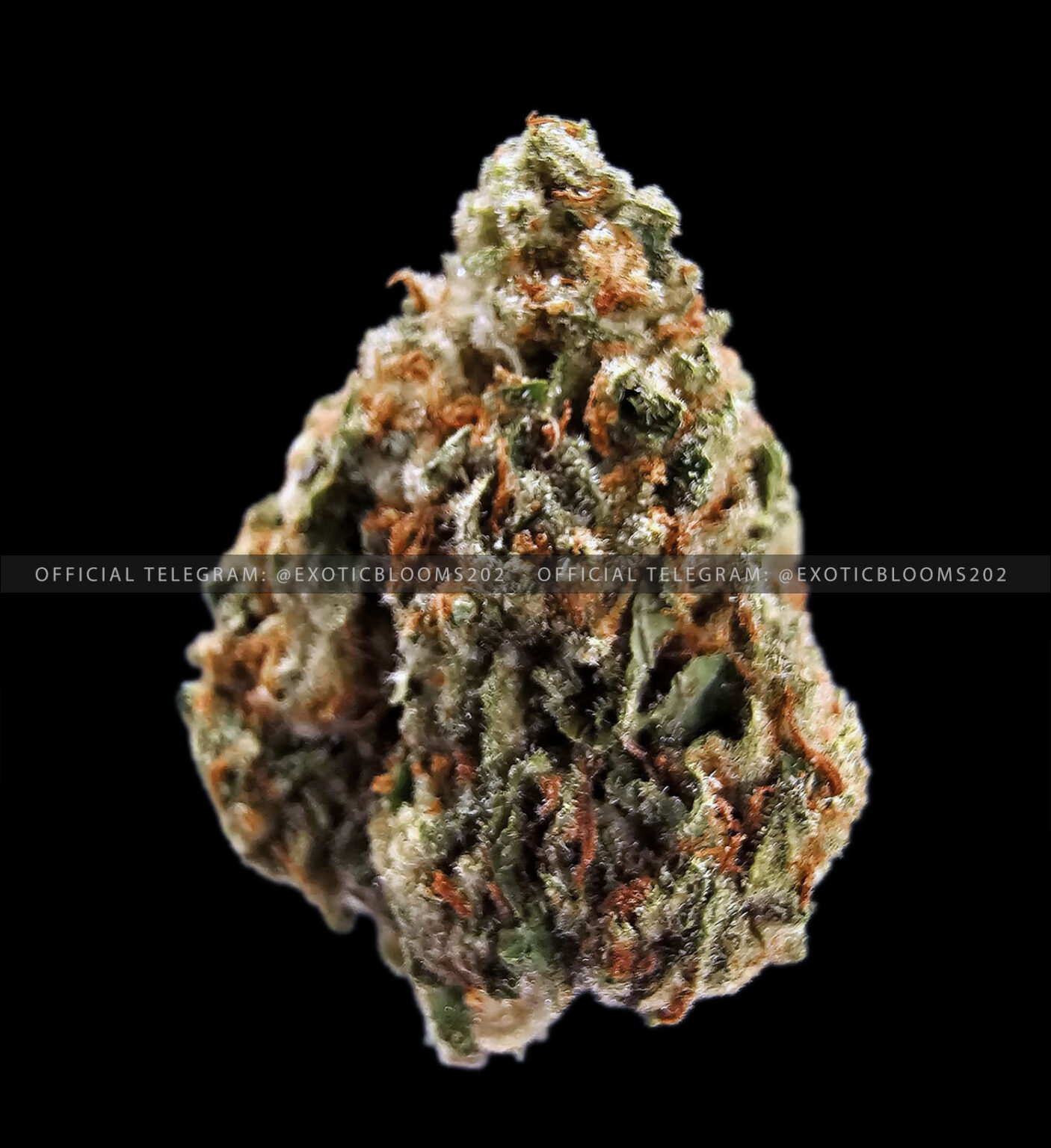 London Trufflez Oz Deal *OUT OF STOCK* Exotic Blooms Delivery DC Weed Delivery & VA Cannabis
