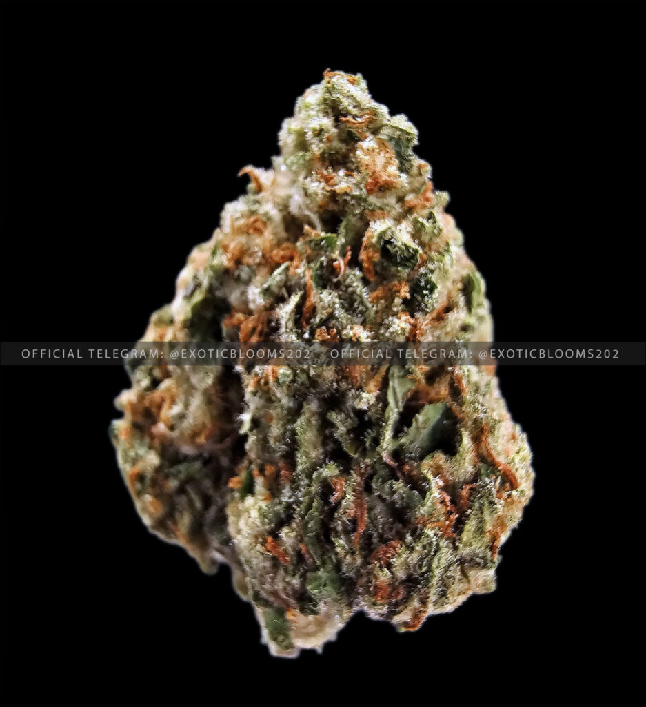 London Trufflez Oz Deal *OUT OF STOCK* Exotic Blooms Delivery DC