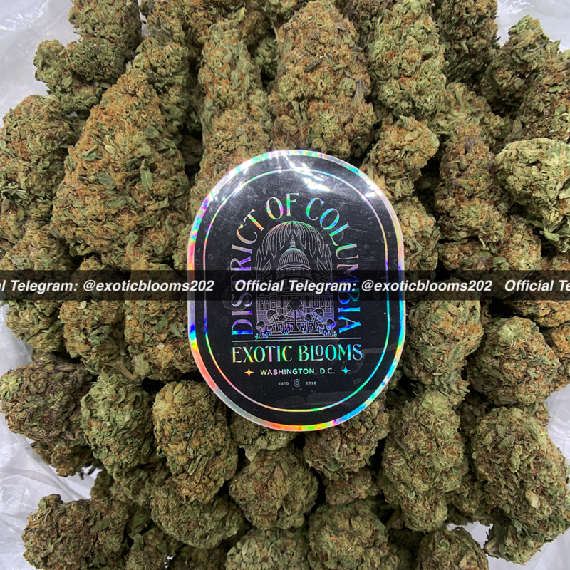 Gelato Cake Oz Deal *OUT OF STOCK* Exotic Blooms Delivery DC Weed
