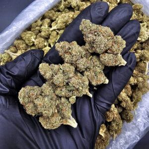 Obama Runtz indica-leaning hybrid cannabis strain, 18–25% THC, with frosty green buds for Exotic Blooms customers in Washington DC, Virginia, Maryland, and Richmond VA.