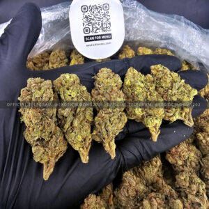 Sour Diesel Strain Exotic Blooms virginia weed