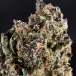 Gruntz hybrid cannabis strain, 25–28% THC, sweet candy and creamy fruit flavor, Exotic Blooms weed delivery in Washington DC, Virginia, Maryland, and Richmond VA