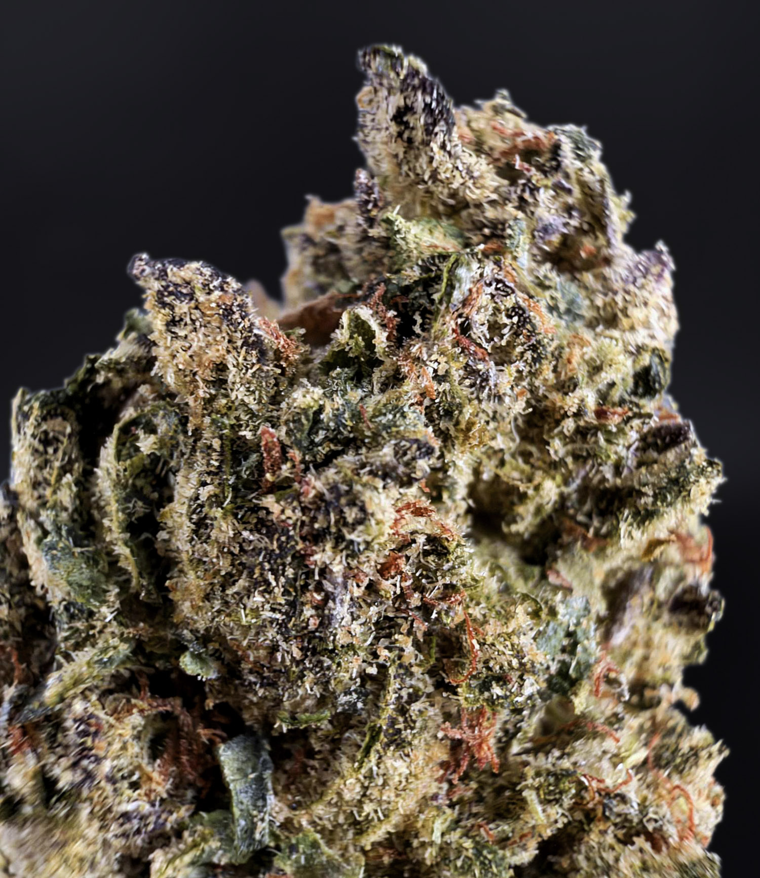 Gruntz hybrid cannabis strain, 25–28% THC, sweet candy and creamy fruit flavor, Exotic Blooms weed delivery in Washington DC, Virginia, Maryland, and Richmond VA
