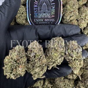 Gruntz hybrid cannabis strain – available for weed delivery in DC, Virginia, and Richmond via Exotic Blooms